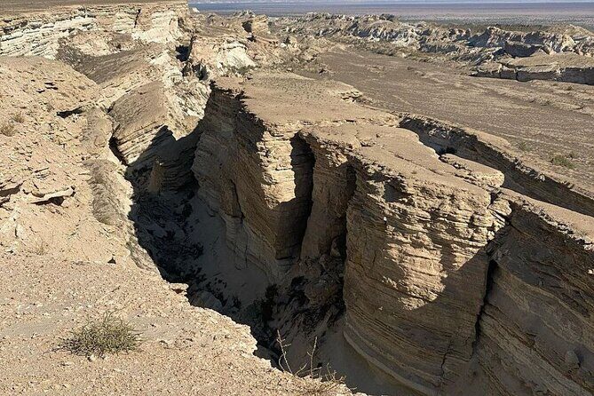 2 Days Private Tour To Aral Sea from Nukus. - Key Highlights Worth Marking