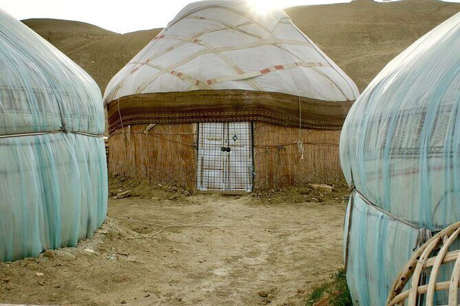 2 Days Private Tour To Aral Sea from Nukus. - Price and Value: What $315 Covers in the Real World