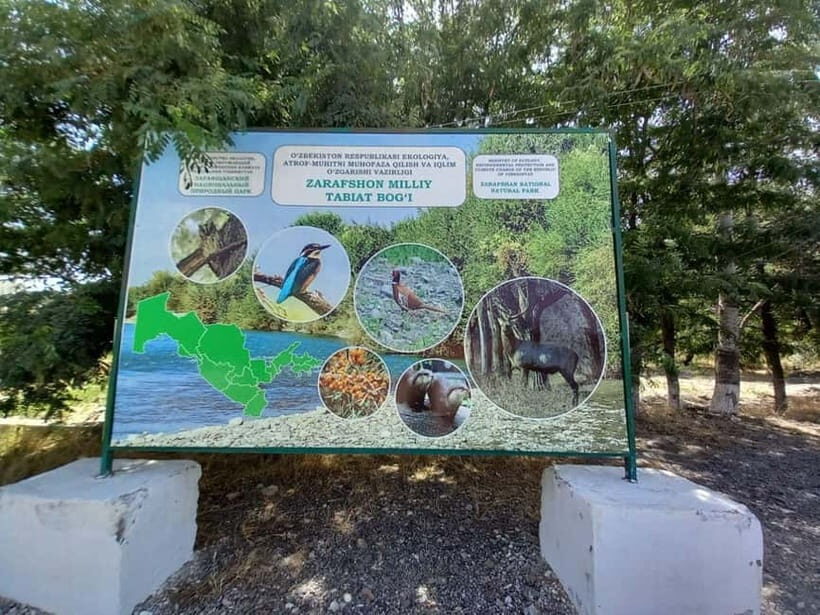 Bird Watching Tours in Samarkand - Key points to know before you go
