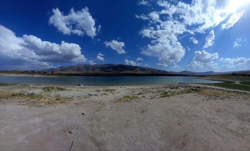 Bird Watching Tours in Samarkand - Samarkand to Zeravshan: tugai woods where birding gets real