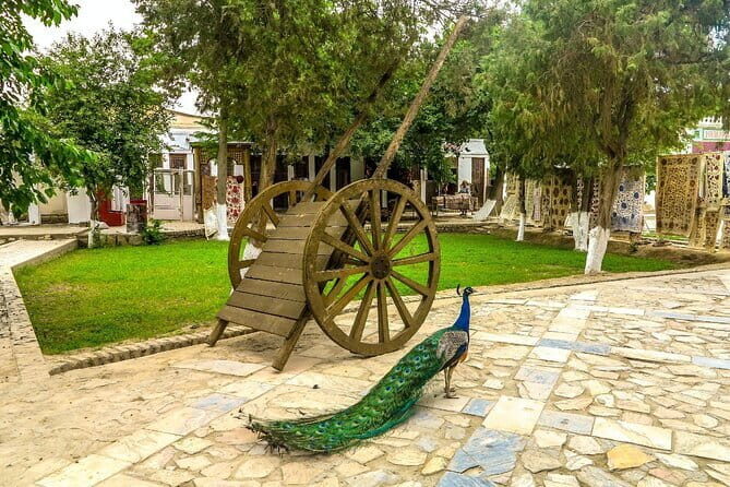 Bukhara: Private Guided Walking Tour with Hotel Pickup - Poi Kalyan: Kalyan Minaret, Kalyan Mosque, Mir-Arab Madrasah