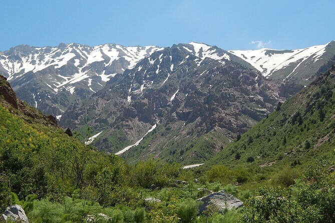 Day Tour to Shahrisabz of Amir Timur - Key points to know before you go