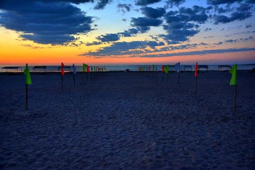 Desert Adventure from Samarkand: Yurt Camp & Aydarkul Escape - Aydarkul Lake: the swim break that feels like the main event