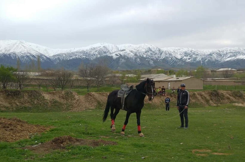 Samarkand: Uloq-Kopkari (Buzkashi) Game Day Tour - Key points before you go