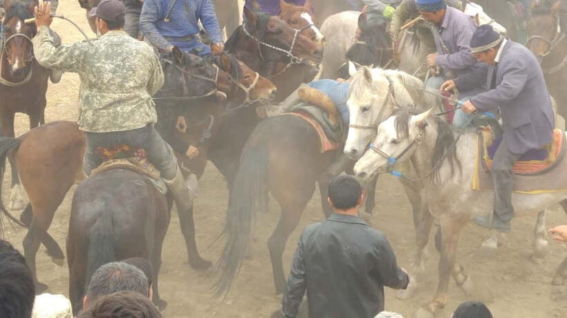 Samarkand: Uloq-Kopkari (Buzkashi) Game Day Tour - Uloq-Kopkari in plain terms: what you’re actually watching