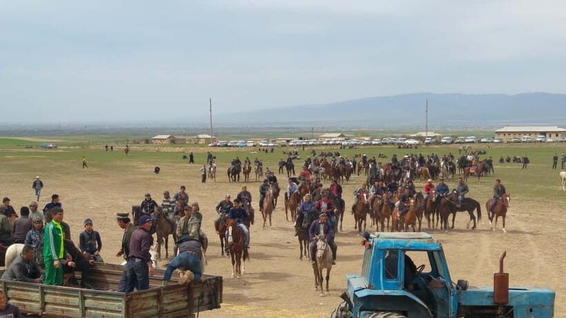 Samarkand: Uloq-Kopkari (Buzkashi) Game Day Tour - Price and value for a small group up to 2