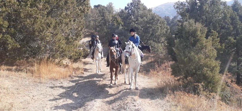 Tashkent: 3-Day Horseback Riding Tour in Chimgan Mountains - Key things to know before you ride Chimgan