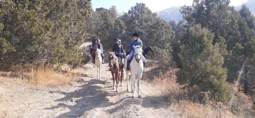 Tashkent: 3-Day Horseback Riding Tour in Chimgan Mountains - Why Chimgan on horseback feels different than hiking
