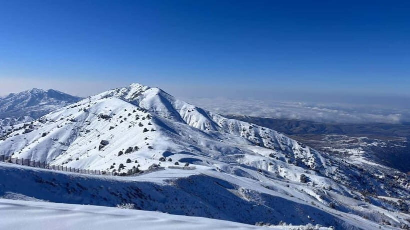 Tashkent Mountain Tour - Chimgan Cable Car Stop: Meadows, Peaks, And Optional Extras